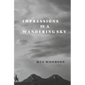 Impressions in a Wandering Sky