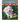 Caring for Dogs