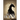 The Lost Horse