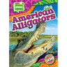 American Alligators