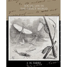 Social Life in the Insect World