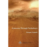 A Journey Through Turbulence