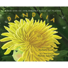 Book One of the Hidden Magic of Plants: Dandeia