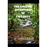 The Amazing Adventures of Two Boys: Bed Time Stories for Children