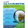 Math Mammoth Grade 4-A Worktext, Canadian Version