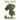 Tree Crops: A Permanent Agriculture