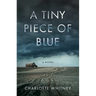 A Tiny Piece of Blue