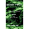 Echoes of Silence: A Second Collection of Poems and Short Stories