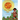 The Taino Sun