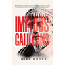 Impious Galileans: Reclaiming the Counter-Cultural Fierceness of the Early Church Why the Modern Church Must Be Hated for the Right Reasons