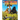 The Island