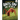Ants on the Attack