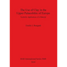 The Use of Clay in the Upper Palaeolithic of Europe: Symbolic Applications of a Material