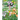 The Gardener's Palette: Creating Colour Harmony in the Garden