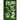 The Ruins