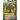 The Crystal Chronicles: Convergence