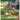 Golf the Beginning: Go Little Fang: A Fairytale for Golfers