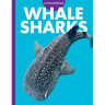 Curious about Whale Sharks
