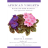 African Violets Back to the Basics: Your Questions Answered