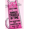 Bubbles Travels In Time