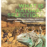 What is Natural Selection? Understanding How Natural Selection Works and Phenotype Changes Grade 6-8 Life Science