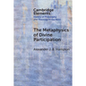The Metaphysics of Divine Participation