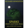 Sparks from Lightning Bugs and Other Life Lessons