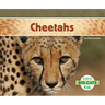 Cheetahs