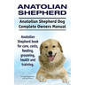Anatolian Shepherd. Anatolian Shepherd Dog Complete Owners Manual. Anatolian Shepherd book for care, costs, feeding, grooming, health and training.