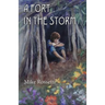 A Fort in the Storm