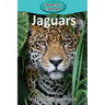 Jaguars