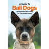 A Guide to Bali Dogs: Understanding and Caring For This Unique Canine