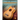 First 50 Songs You Should Clawhammer Strum on Ukulele - Includes Clawhammer Lesson by Lil' REV