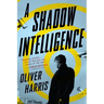 A Shadow Intelligence