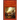 The American Revolutionary War: The Southern Campaigns