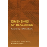 Dimensions of Blackness: Racial Identity and Political Beliefs