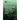 Remote Sensing Technology Applications in Forestry and REDD+