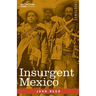 Insurgent Mexico