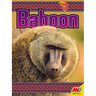 Baboon
