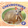 Chevrotains