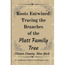 Roots Entwined: Tracing the Branches of the Platt Family Tree