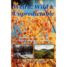 Weird, Wild & Unpredictable: An Illustrated History of East Tennessee Weather