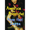 America the Beautiful