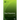 Plant Polyamines