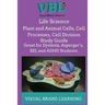 Life Science: Plant and Animal Cells, Cell Processes, Cell Division