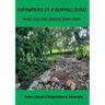 Ruminations of a Rhyming Rhino: More Silly and Serious Stuff from John Lloyd Chipembere Lwanda