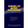 Waking Up in the Polycrisis