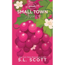Small Town Frenzy: Special Edition