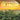 What Do You Know about the Amazon? Nature for Kids Children's Nature Books
