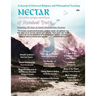 Nectar of Nondual Truth #28; A Journal of Universal Religious and Philosphical Teachings